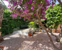 Rental - Villa - Torrevieja - Los Balcones - Los Altos del Edén