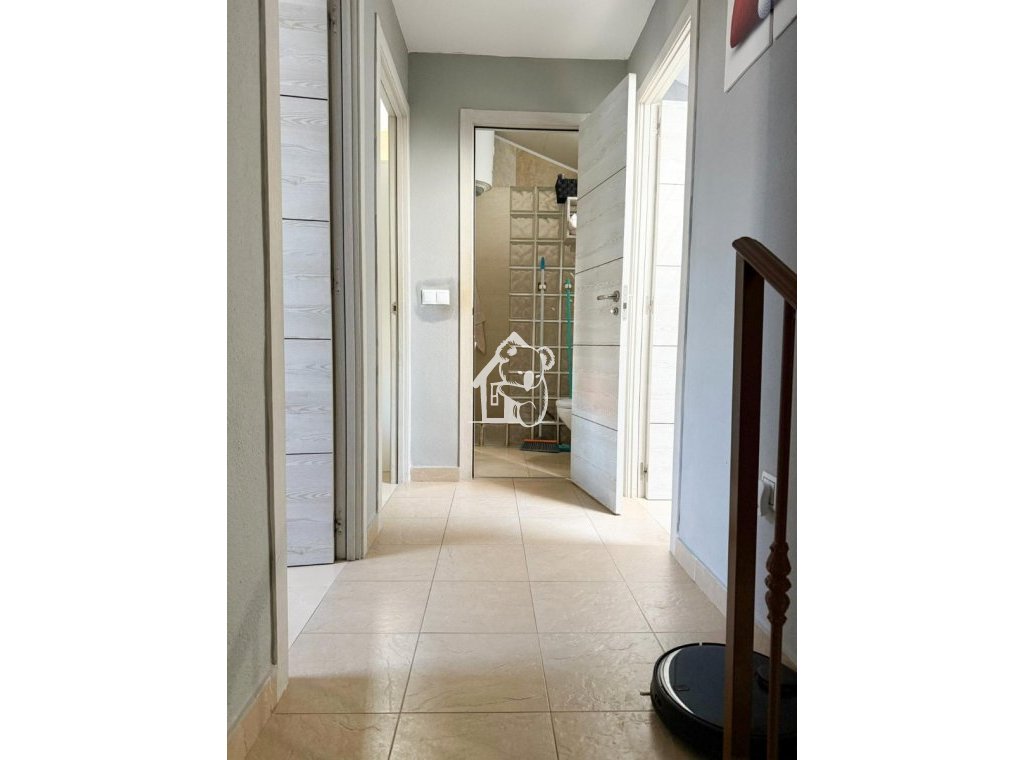 Rental - Villa - Torrevieja - Nueva Torrevieja - Aguas Nuevas