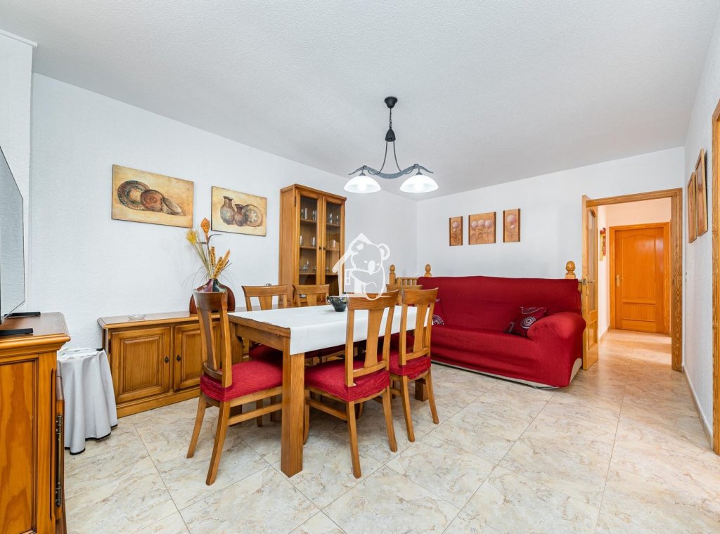 Rental - Villa - Torrevieja - Torrelamata - La Mata