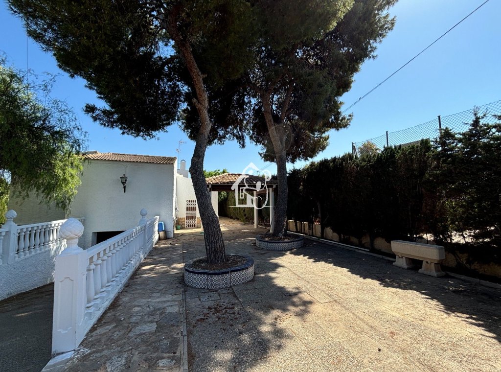 Rental - Villa - Torrevieja - Torrevieja Centro
