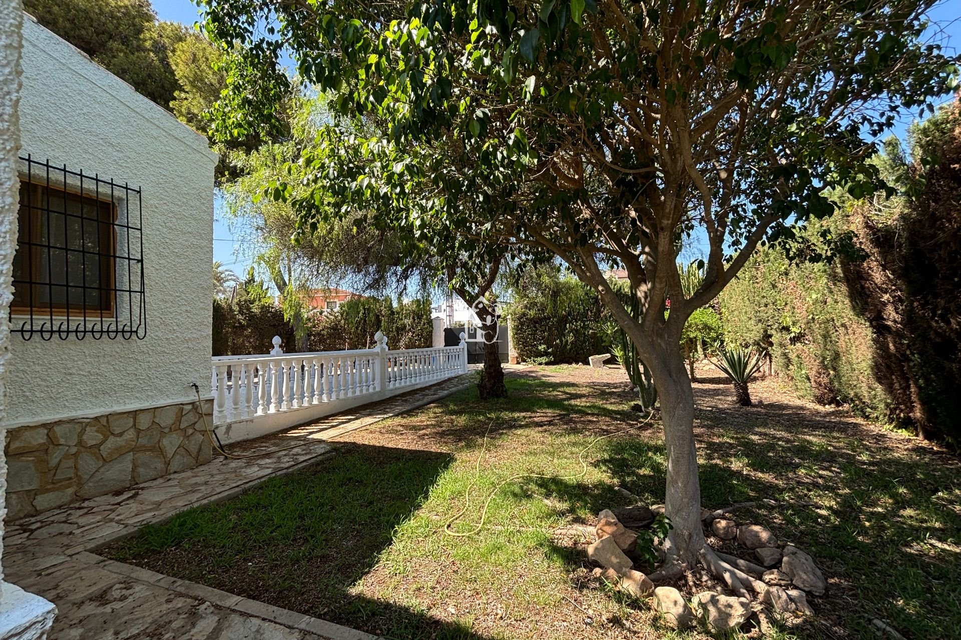 Rental - Villa - Torrevieja - Torrevieja Centro