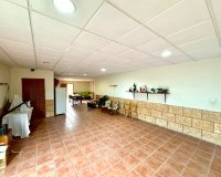 Revente - Villa - Daya Nueva