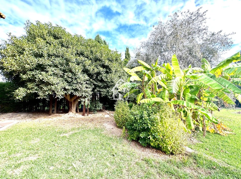 Revente - Villa - Daya Nueva