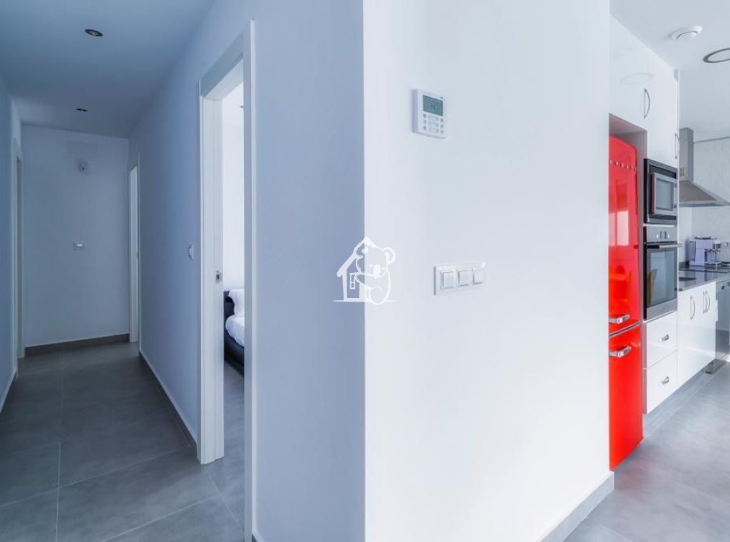 Segunda Mano - Adosado - Montesinos, Los