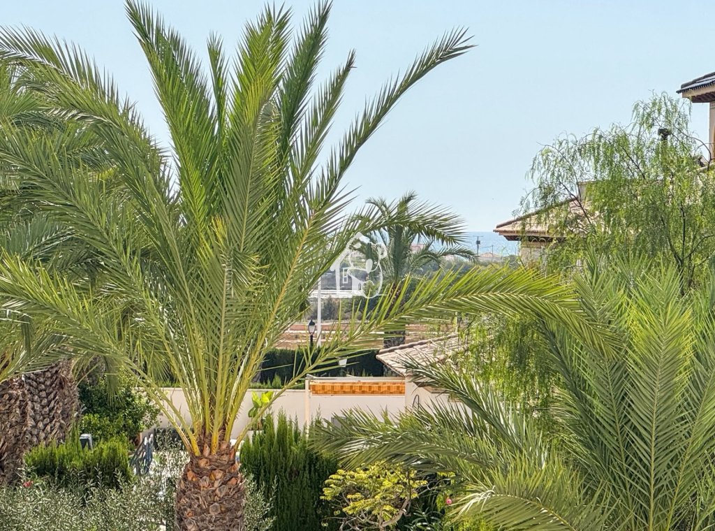 Segunda Mano - Apartamento / piso - Elche Pedanías - La Marina