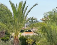 Segunda Mano - Apartamento / piso - Elche Pedanías - La Marina