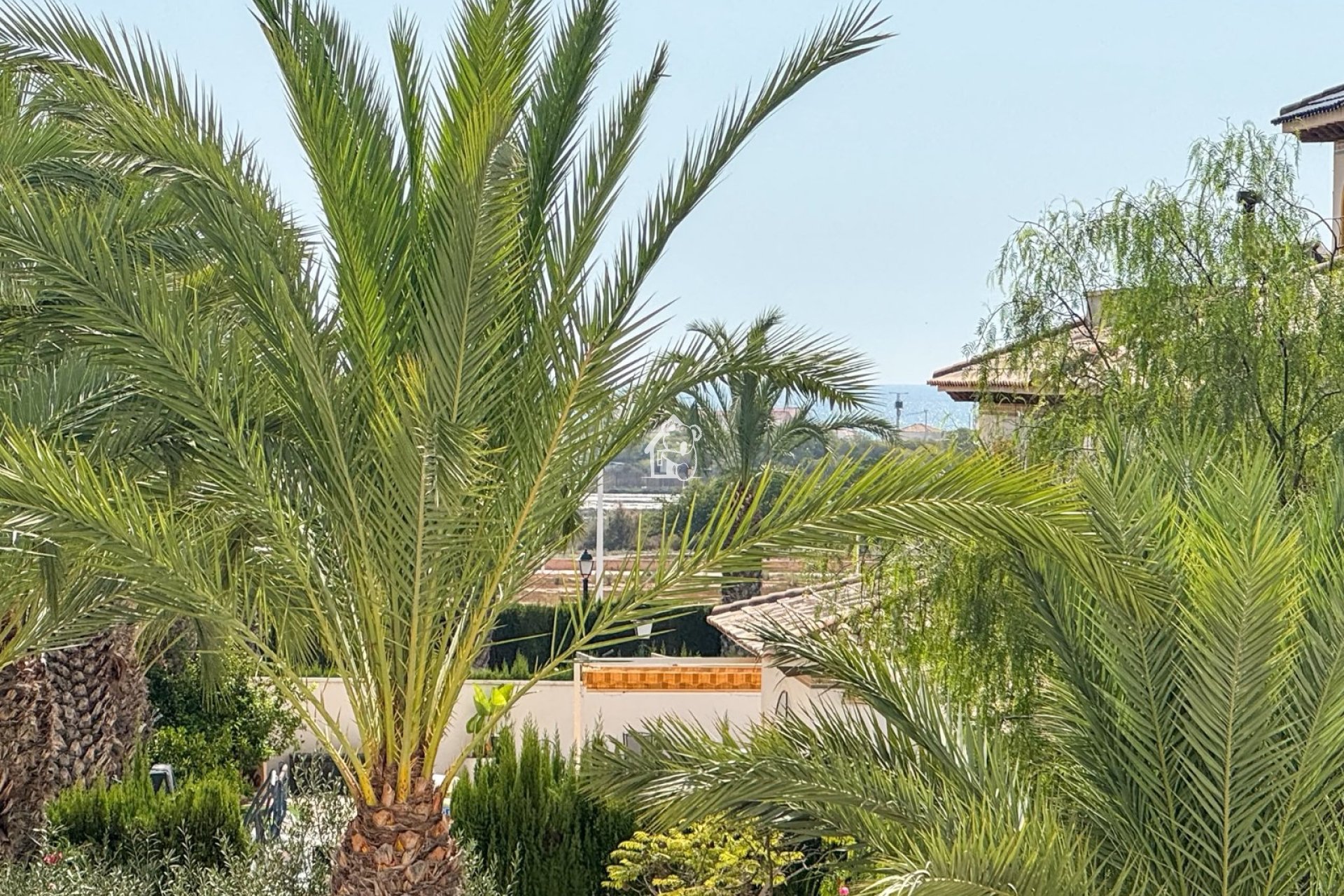 Segunda Mano - Apartamento / piso - Elche Pedanías - La Marina