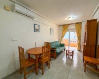Segunda Mano - Apartamento / piso - Torrevieja - Playa de los Locos