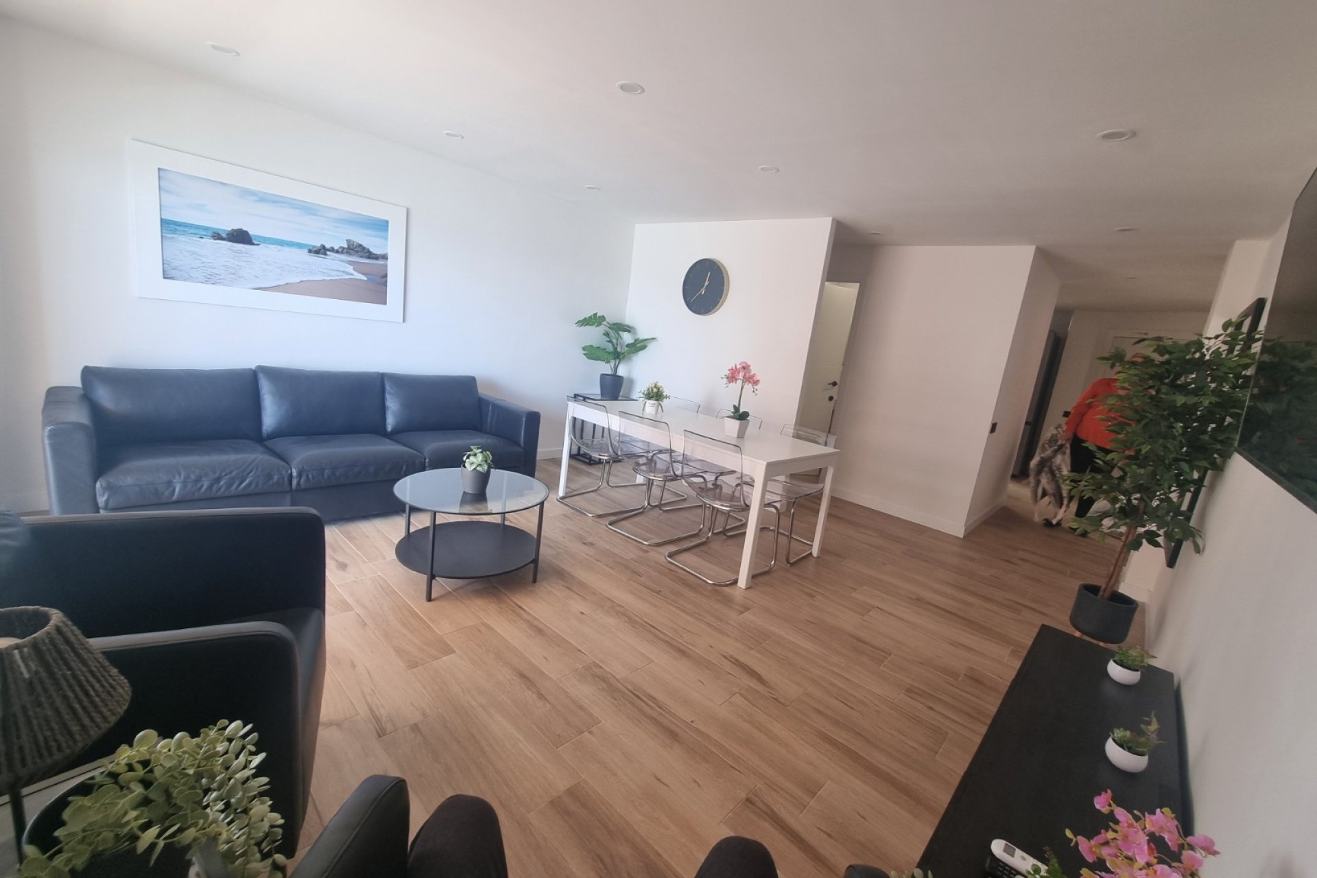 Segunda Mano - Apartamento / piso - Torrevieja - Playa del Cura