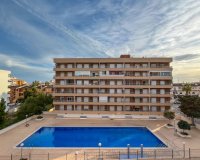 Segunda Mano - Apartamento / piso - Torrevieja