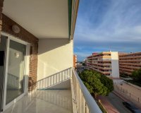 Segunda Mano - Apartamento / piso - Torrevieja